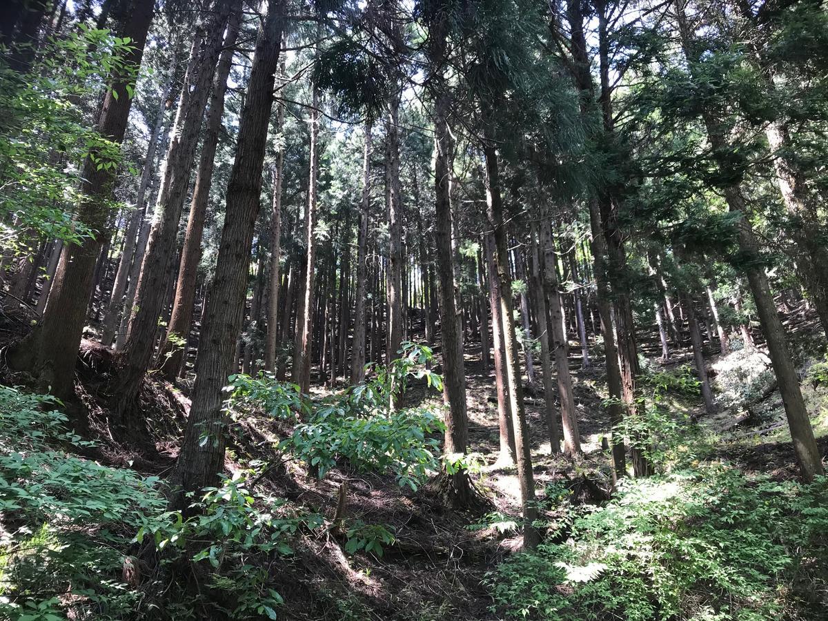 ホテル 夜久野ハウス 福知山市 エクステリア 写真